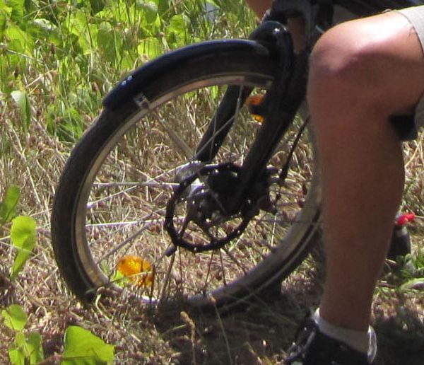 Wurzelwerker haben die strammsten Radlwadln