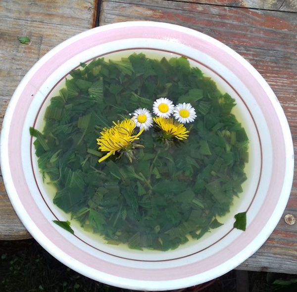 Neunerlei Kräuter in der Gründonnerstagssuppe