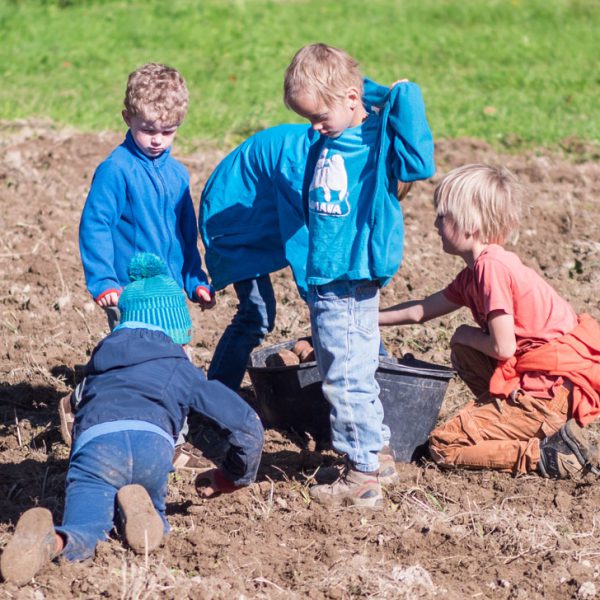 Mit Montessori Kindern auf den Acker