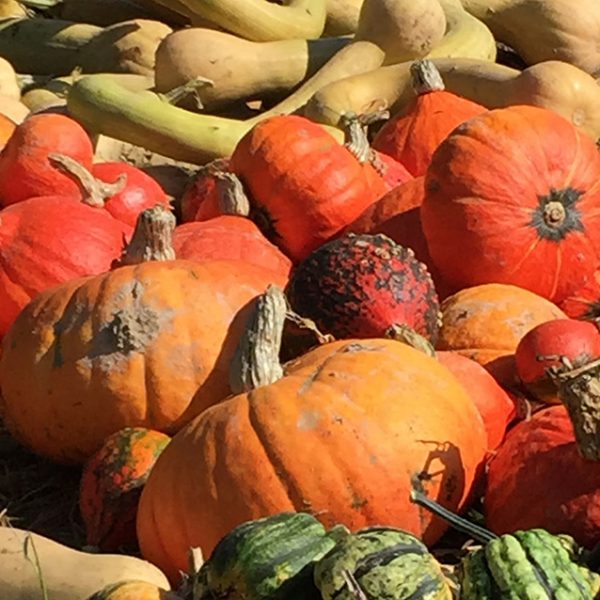 Herbstbesuch vom Tageszentrum