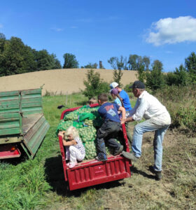 Die erfolgreiche Kartoffel-Ernte wird in Säcken vom Feld abtransportiert.